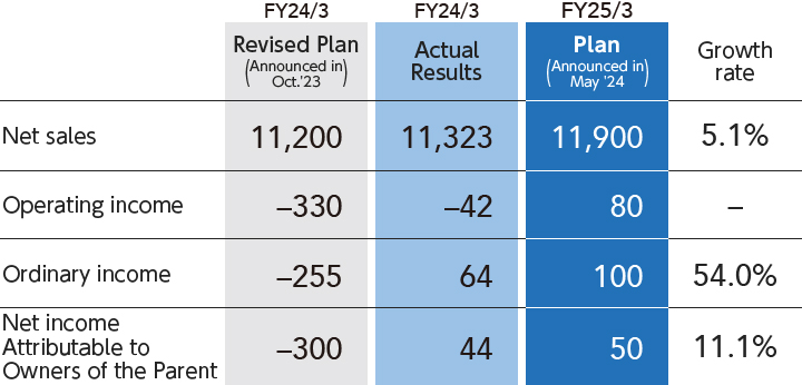 Table: Revised Plan for the fiscal year, Actual result,Plan for the next fiscal year