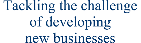 Tackling the challenge of developing new businesses